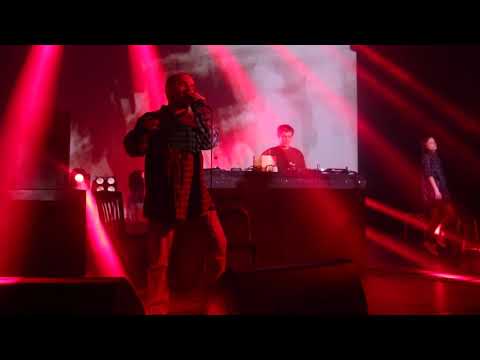 Видео: Порез на собаке - Проспал live