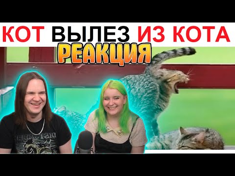 Видео: 200 Мемов. Кот вылез из кота??? Штаа??? | РЕАКЦИЯ НА Max Maximov |