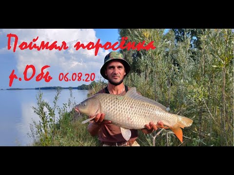 Видео: ПОЙМАЛ ПОРОСЕНКА!!! РЫБАЛКА НА САЗАНА на р.Обь. Как мы ездили за сазаном!