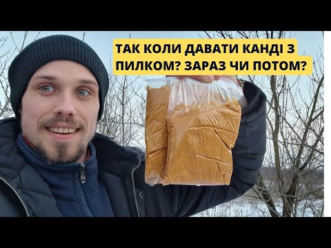 Видео: Канді з Пилком! Давати бджолам чи ще ні? Коли давати канді з пилком?