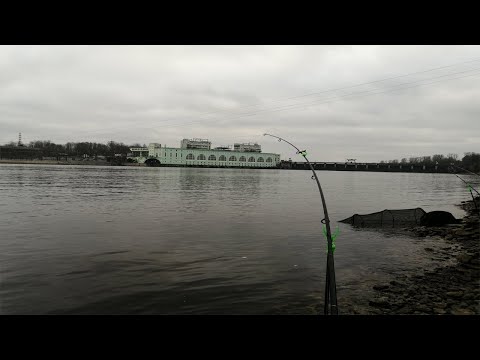 Видео: ЛОВЛЯ ЛЕЩА НА ВОЛХОВЕ НА ФИДЕР, СУПЕР КЛЕВ!!!
