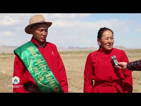 Видео: Ховд аймгийн Мянгад сумын Баянхошуу багийн тариаланч Б Отгонтөгс Улсын аварга тариаланч цол хүртлээ