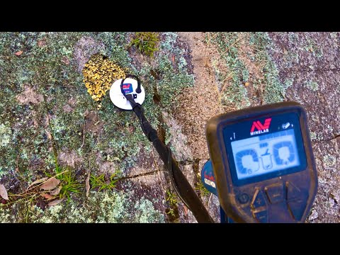 Видео: НАЙДИТЕ больше ЗОЛОТА с помощью GOLD MONSTER 1000!