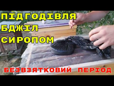 Видео: Годуй бджоли до Івана - будеш паном! Підкормка бджіл у безвзятковий період. Бджільництво 2022.