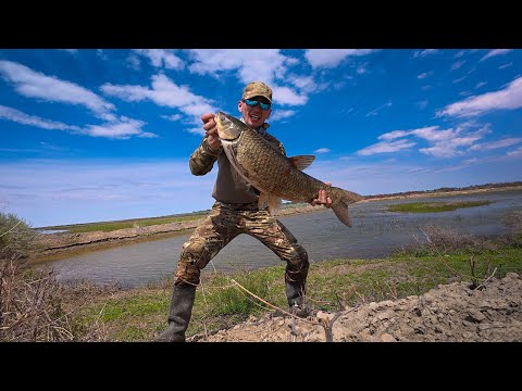 Видео: БІР КҮНДЕ БІРНЕШЕ ТРОФЕЙ!!! БҰРЫН БОЛМАҒАН ОҚИҒА
