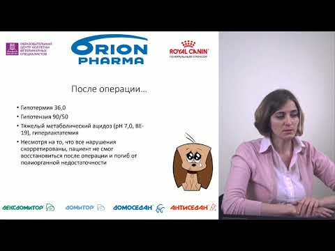 Видео: Мальцева А. Н. - Борьба с осложнениями во время анестезии (Лекция 4)