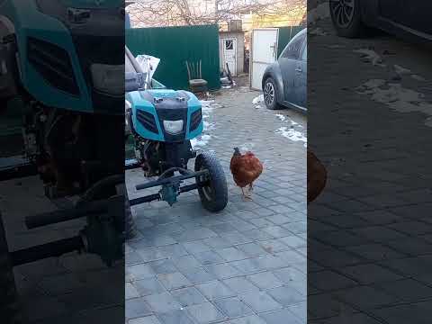 Видео: 30 октября 2025 г.