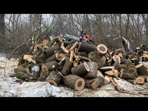 Видео: Бензопила Штиль 180 Пилим дрова в лесу (с налобником )