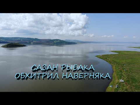 Видео: ЛОВЛЯ САЗАНА 2025 | СЫДА | ЗМЕЁВКА