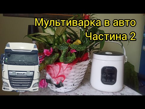 Видео: Знов за рибу гроші. Тобто про мультиварку на 24v