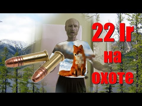 Видео: 22lr / О МЕЛКАШКЕ