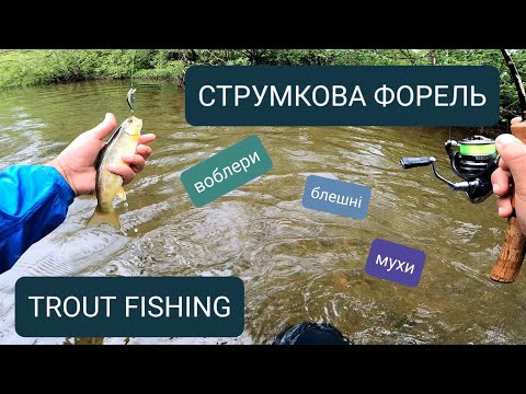 Видео: Форель на спінінг,  коливалки та воблери у струмку.