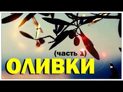 Видео: Галилео. Оливки (часть 1)