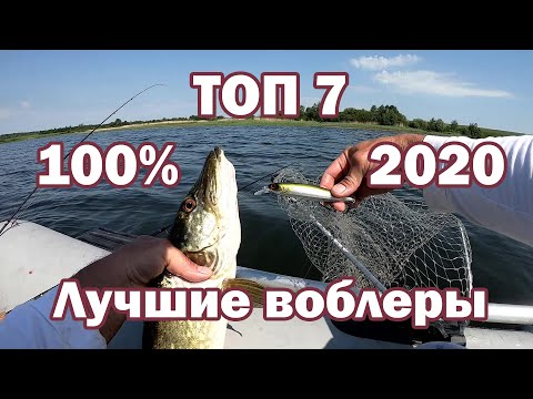 Видео: Лучшие мои НЕДОРОГИЕ Воблеры на Щуку 2020. ТОП 7 Воблеров. Твичинг крупных воблеров. Ловля щуки .