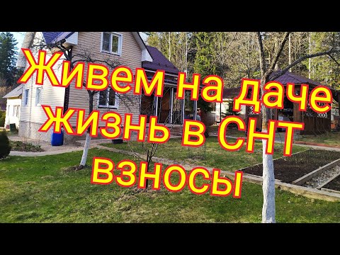 Видео: Жизнь на даче. Бедное СНТ. Какие взносы. За сколько купили участок..