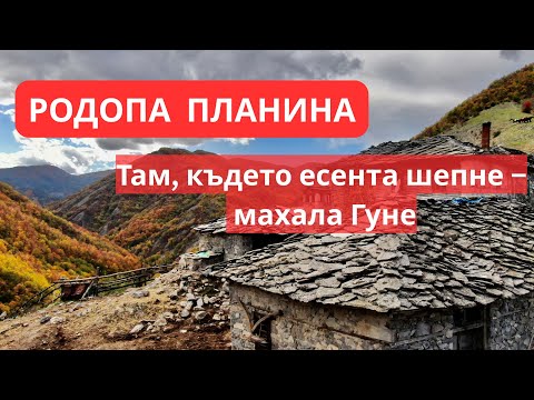 Видео: По пътя към махала Гуне – есен в най-мистичния край на България 