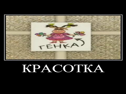 Видео: Муд Барбоскины демотиватор 1