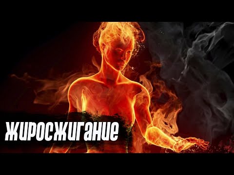 Видео: Сжигание жира #3 - основной обмен, разбор диет, инструментарий