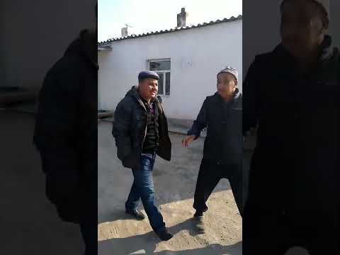 Видео: ташкен совхоз ауылым.Г ходжеили