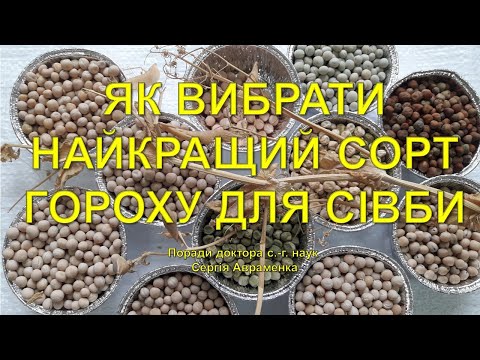 Видео: Як вибрати найкращий сорт гороху для сівби
