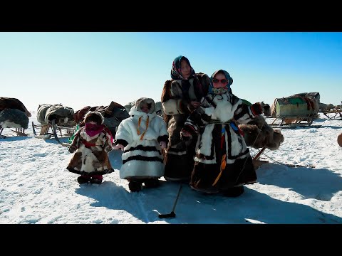 Видео: Нябако. Моё счастье. | Ясавэй. Кочевник ХХI века. 1 часть