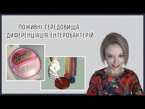 Видео: Поживні середовища для культивування бактерій. Виділення ентеробактерій