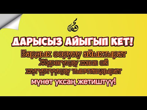 Видео: ДАРЫСЫЗ АЙЫГЫП КЕТ!