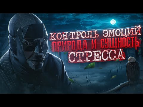 Видео: Полный контроль ЭМОЦИЙ: Природа и сущность стресса | Просвещенный