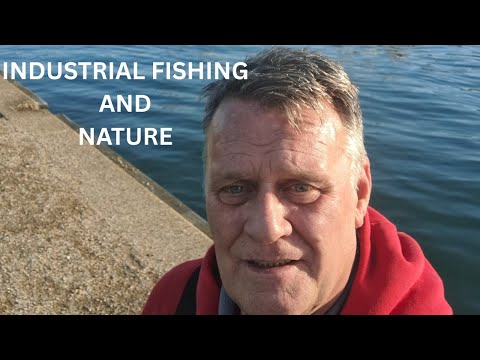 Видео: Промышленное рыболовство и природа