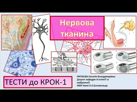 Видео: Тести 1- Крок-1_  НЕРВОВА ТКАНИНА
