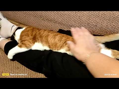Видео: Счастье,оно всегда рядом 😄