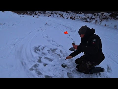 Видео: ЕЛЕ ПРОБРАЛИСЬ В ЭТИ ДЕБРИ И НЕ ЗРЯ! Рыбалка на жерлицы 2023.