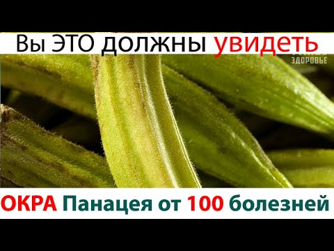 Видео: ОКРА  - ОТ ГИПЕРТОНИИ, АРИТМИИ, ГАСТРИТА...