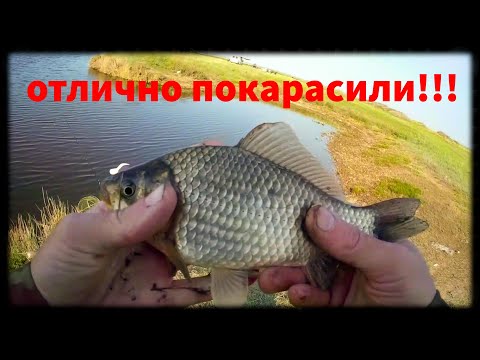 Видео: Рыбалка. Река Кульсу карасивое место:)