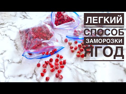 Видео: Легкий способ заморозки ягод. Таңқурай мен құлпынайды дұрыс қатыру. Қысқа дайындық. Frozen berries