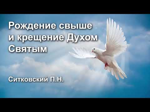 Видео: Рождение свыше и крещение Духом Святым. Проповедь Ситковский П.Н.  МСЦ ЕХБ