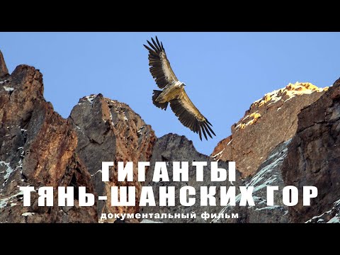 Видео: Гиганты Тянь-Шанских гор
