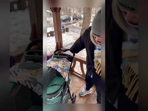 Видео: Коляска для собак