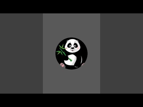 Видео: ПАНДА-РУ-55 в прямом эфире!