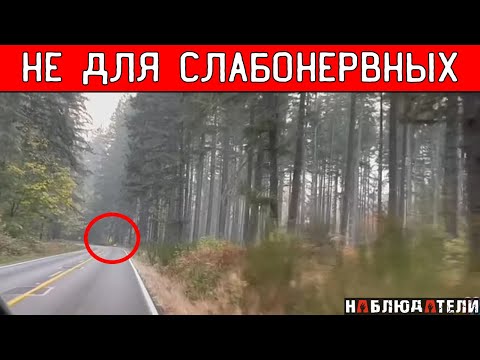 Видео: От этого звонка кидает в пот.