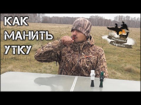 Видео: Как манить утку | Звуки кряковой утки для охоты с духовым манком