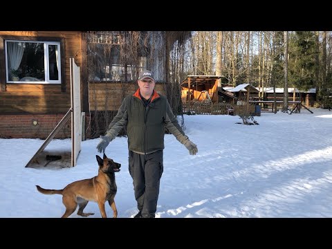 Видео: Показываю ответы на ваши вопросы.