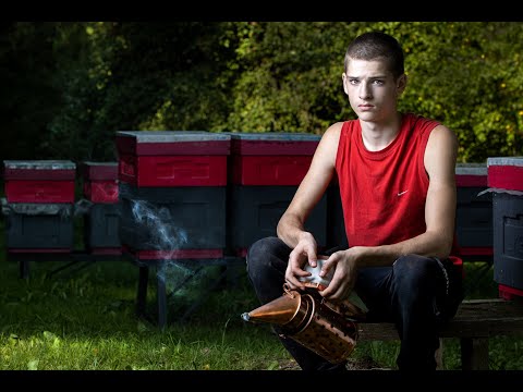 Видео: Связь поколений пчелы Buckfast  VIV 55.