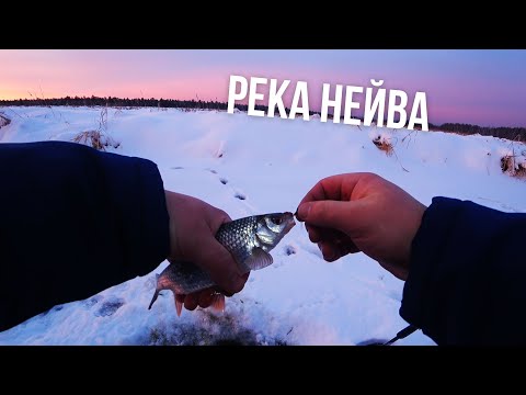 Видео: За чебаком на реку Нейва