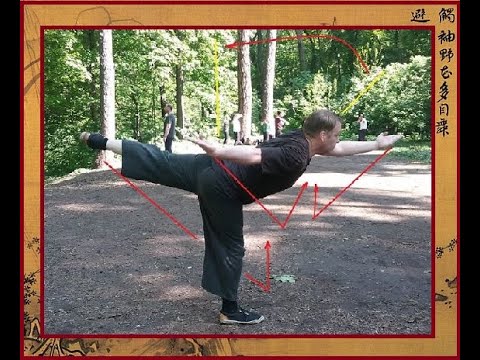 Видео: ВЛАДИМИР АМИДА: "ФОТОКОЛАЖ ПРАКТИКИ НАРАБОТКИ В БАГУАЧЖАН 12  СТОЛБОВ  (шиэр чжуан гун / 十二桩功)