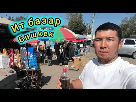 Видео: Ит базар. Бишкек 21.09.25 #итбазар #жаймабазар #малбазар 