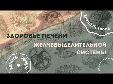 Видео: Здоровье печени и желчевыделительной системы | Елена Петрова | SIBERIAN WELLNESS