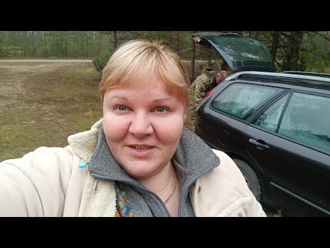 Видео: Ну наконец-то, я в лесу. Я довольна, набрали полные корзины.