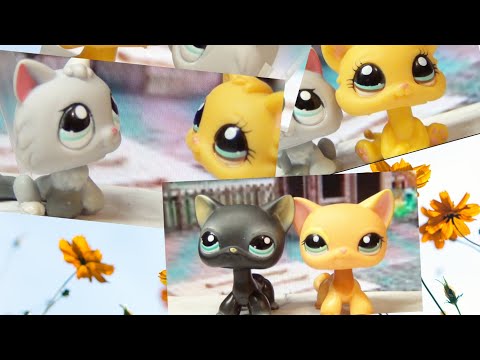 Видео: Lps клип: НАВЕЧНО ТВОЯ