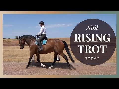 Видео: Отправляющаяся рысь | Поднимающаяся рысь